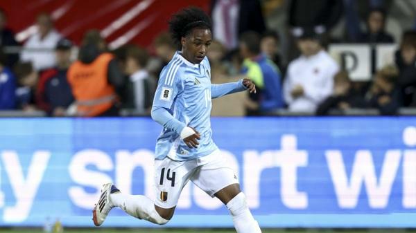 Duivels in de arena: wat moet je weten?