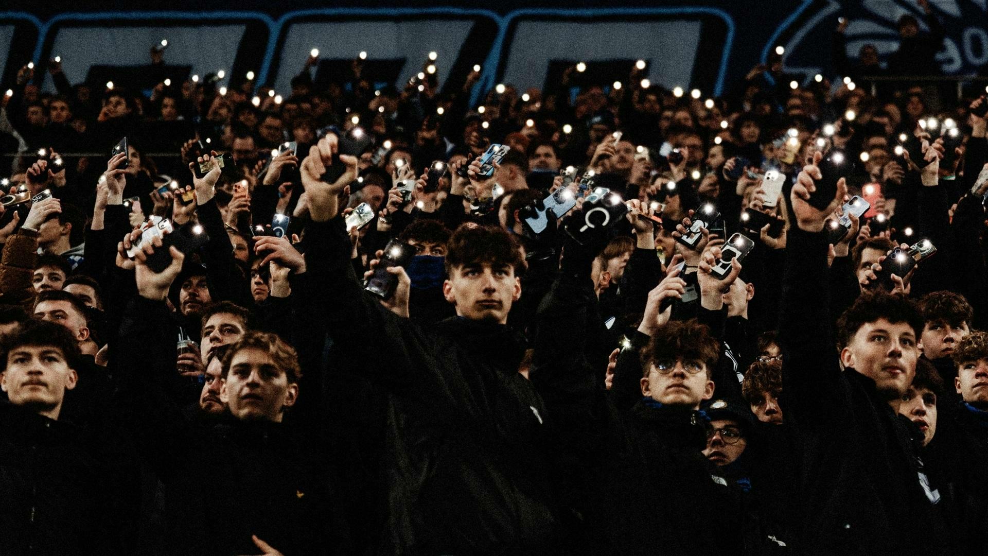 Buffalo overleden na medisch incident